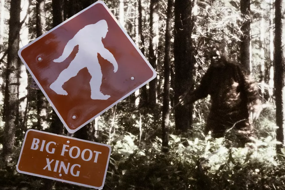 The Search for Sasquatch is On! Indiana’s First Bigfoot Conference Will Happen in 2024