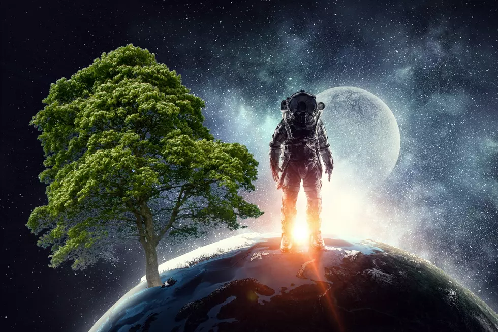 Indiana is Home to Three Moon Trees, What Makes These Trees so Out of this World?