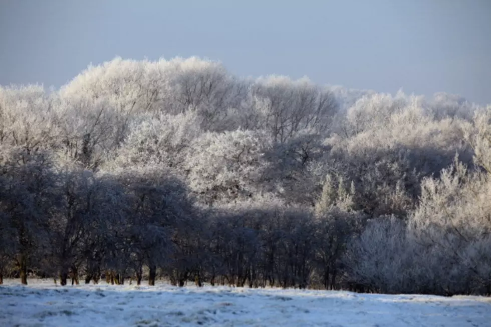 Frost Advisory in Effect for Entire Tristate Thursday Morning