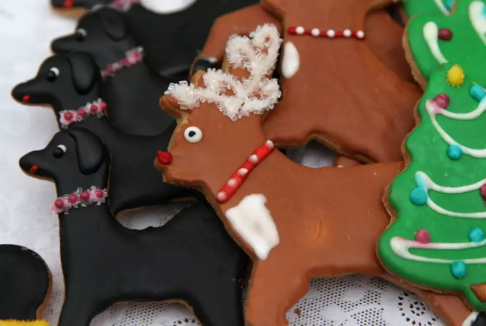 Jasper Christmas Craft Show this Weekend!