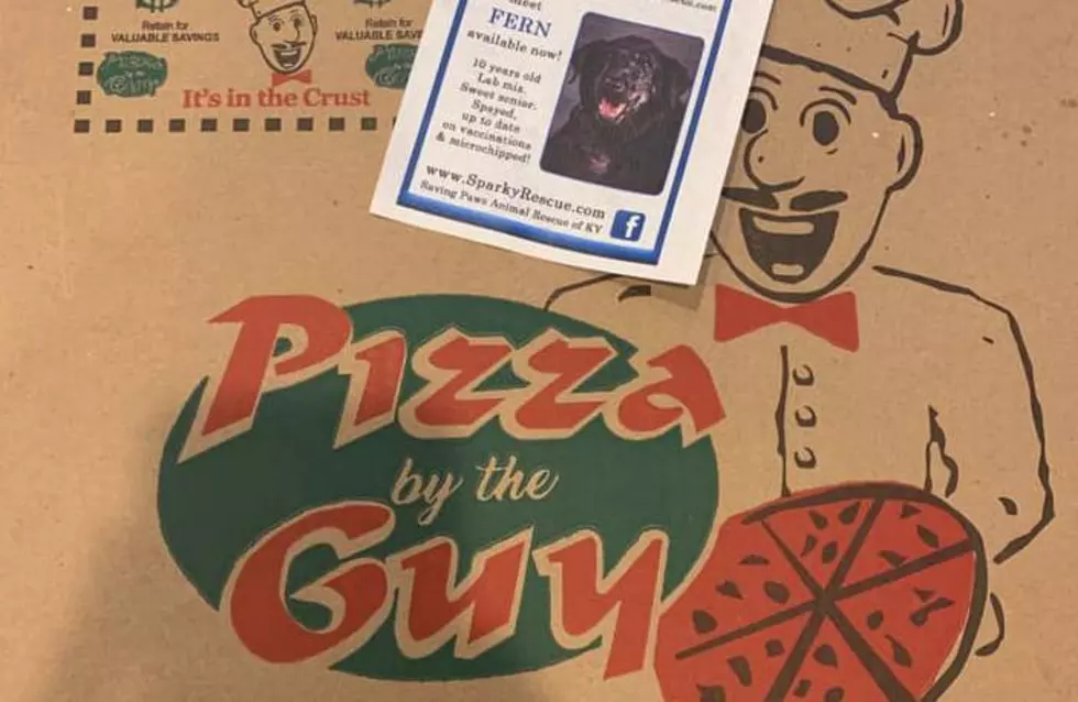 SPARKY and Pizza by the Guy Announce New Adoption Partnership