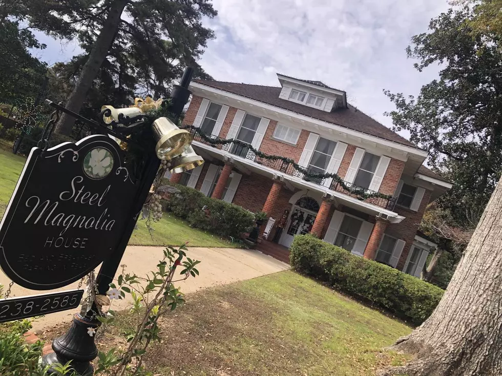 Why Steel Magnolias Fans in Kentucky Should Head to Louisiana