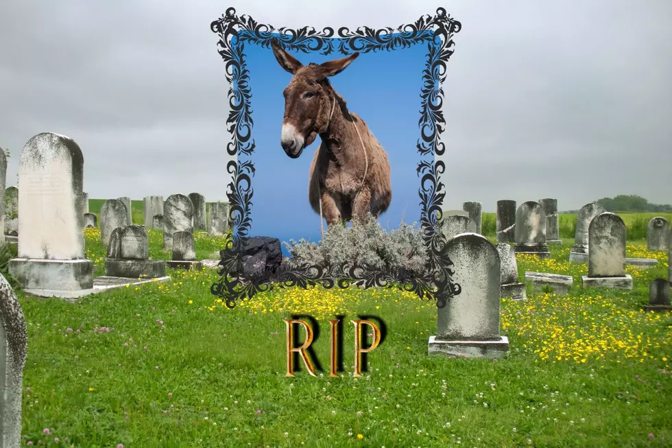 Here’s Why a Mule Has a Special Resting Place at a KY Cemetery