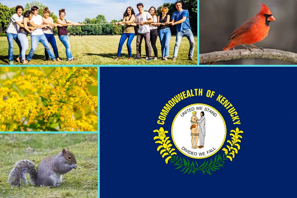 Introduce Yourself to These 13 Official Kentucky State Symbols