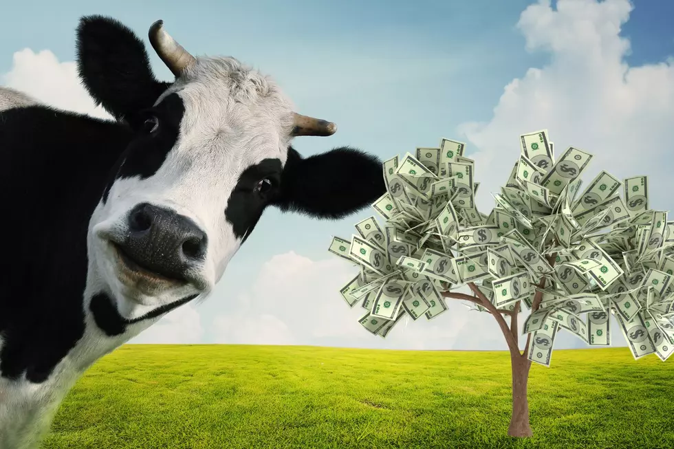 Here’s How You Can Win Up To $30,000 With WBKR