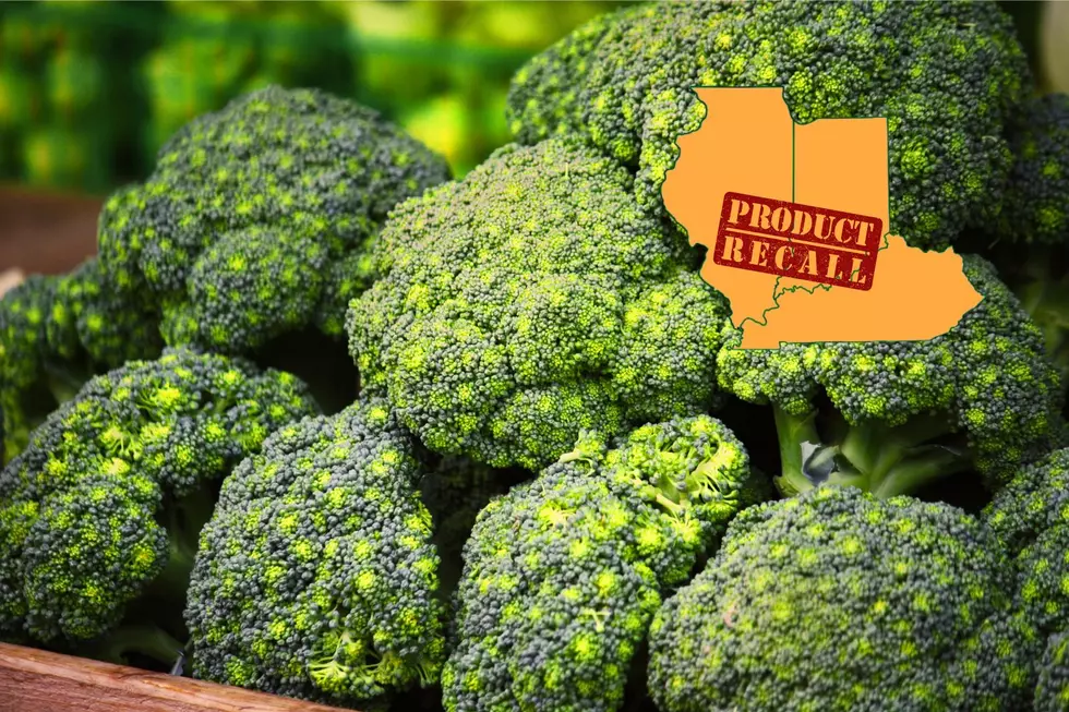 Broccoli Sold in KY, IN, and IL Recalled Due to Possible Listeria Contamination
