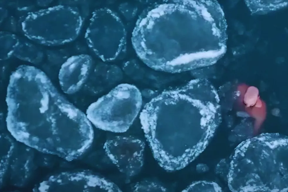 You’ve Got to See These Ice Pancakes That Have Formed in Illinois [VIDEO]