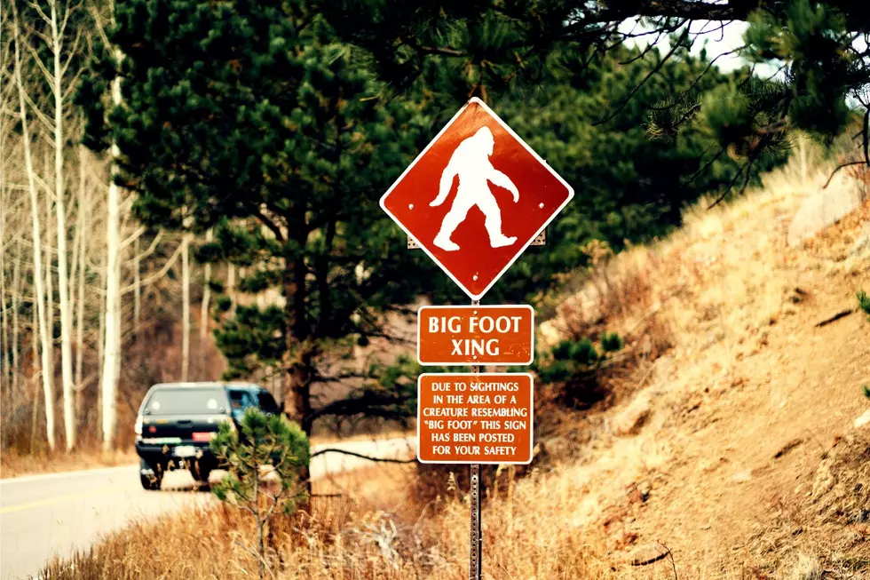 These Counties Have Reported the Most Kentucky Bigfoot Sightings