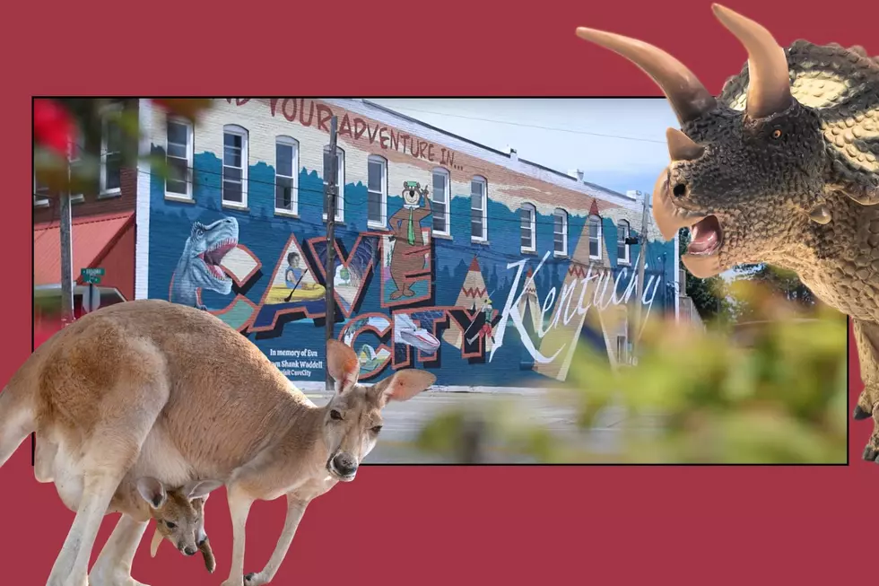 Dinosaurs, Kangaroos, and Caves! The Perfect KY Fall Break Family Trip