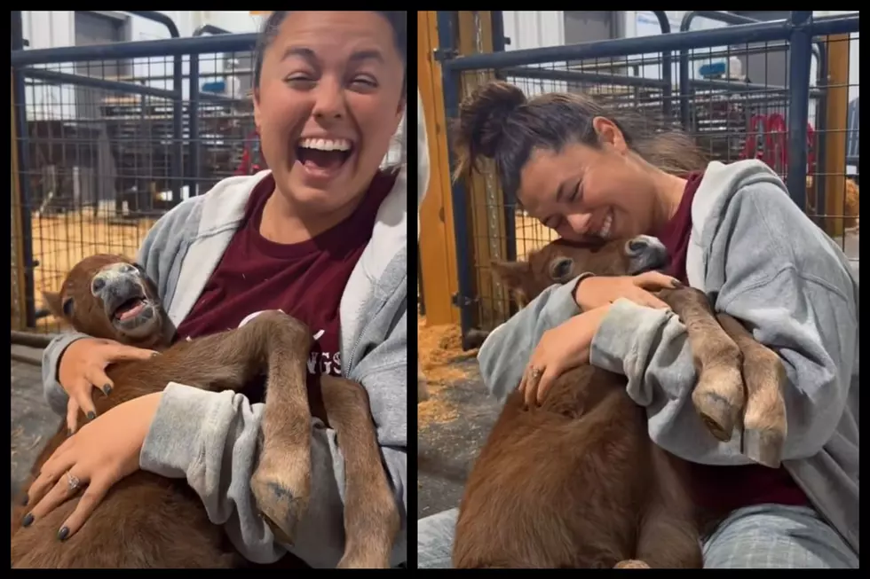 Adorable Alert! Dare You Not to Fall in Love With This Sleepy Baby