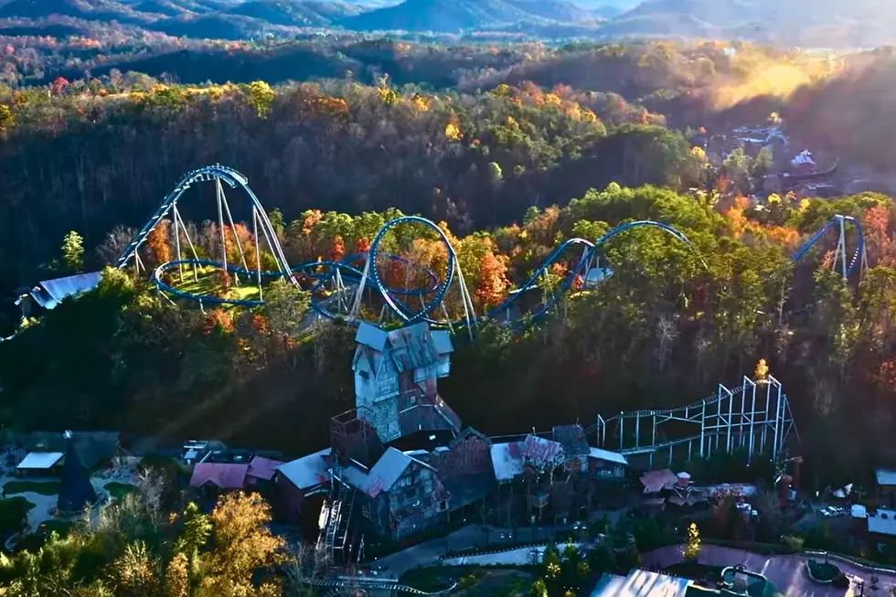 Dollywood’s $50M NightFlight Expedition Will Be Its Largest Ride Ever