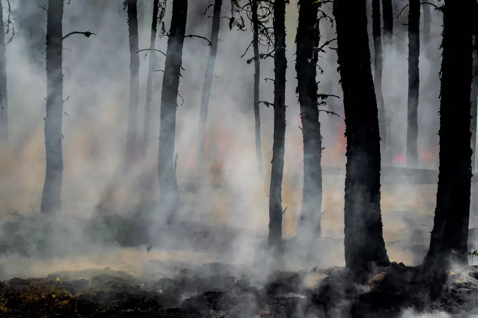 These Were Kentucky’s Worst Wildfire Seasons and 2026 Is Heating Up